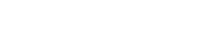 datavisyn Logo white